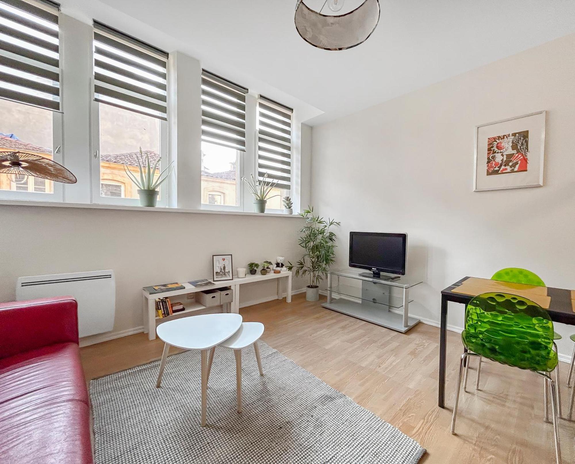 Lumineux & Cosy, Hyper Centre Appartement